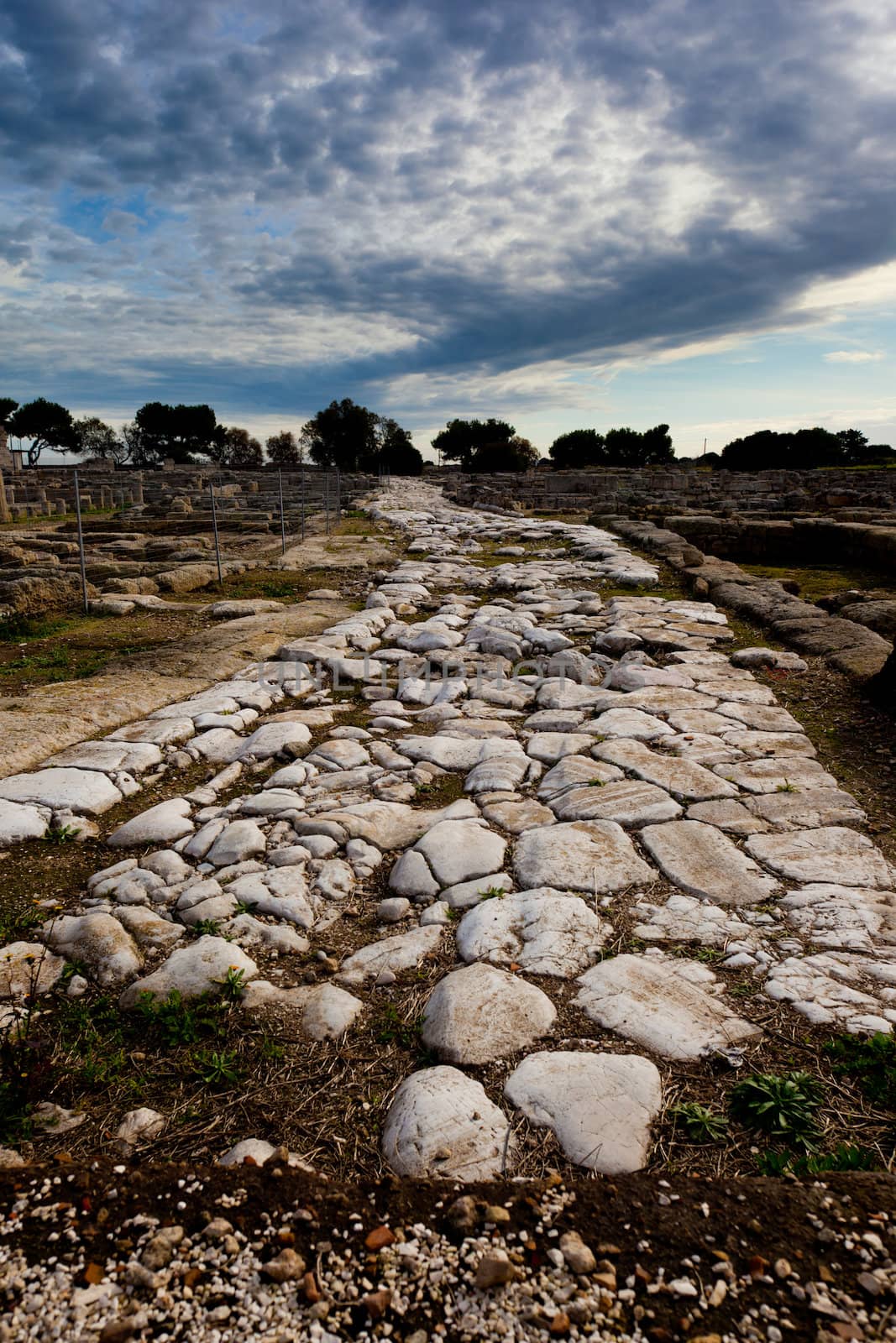 an ancient path in an archeological site in Italy