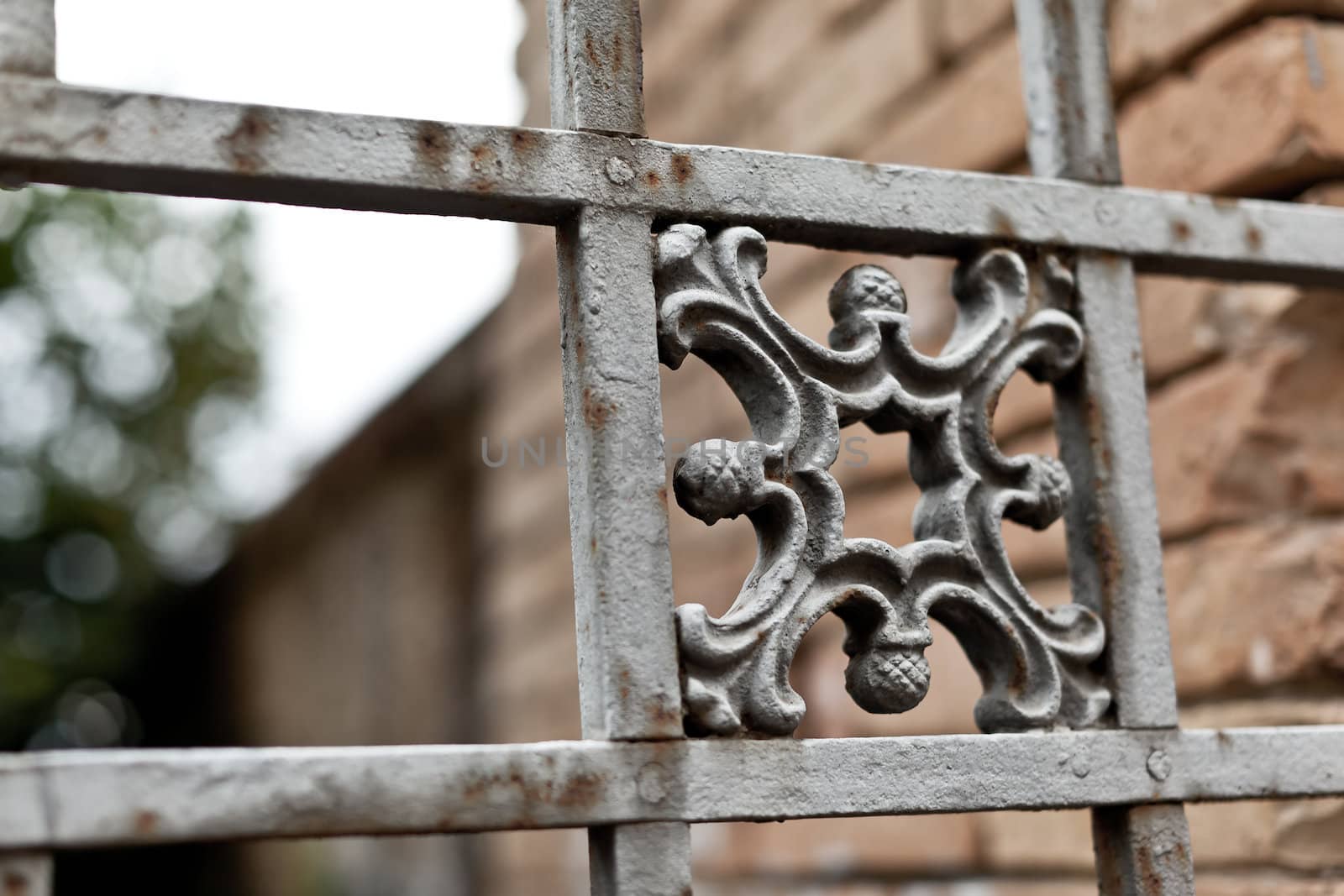 Detail of a gate ornament