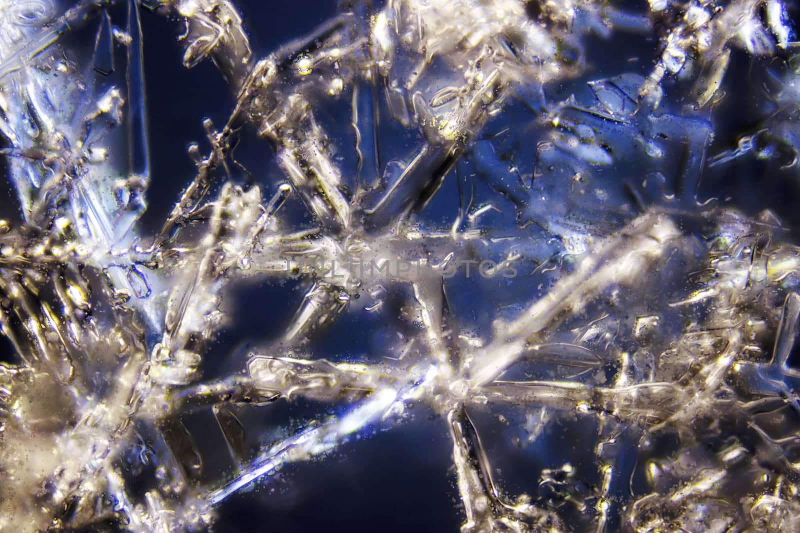 Micro Photo of Snow Crystals