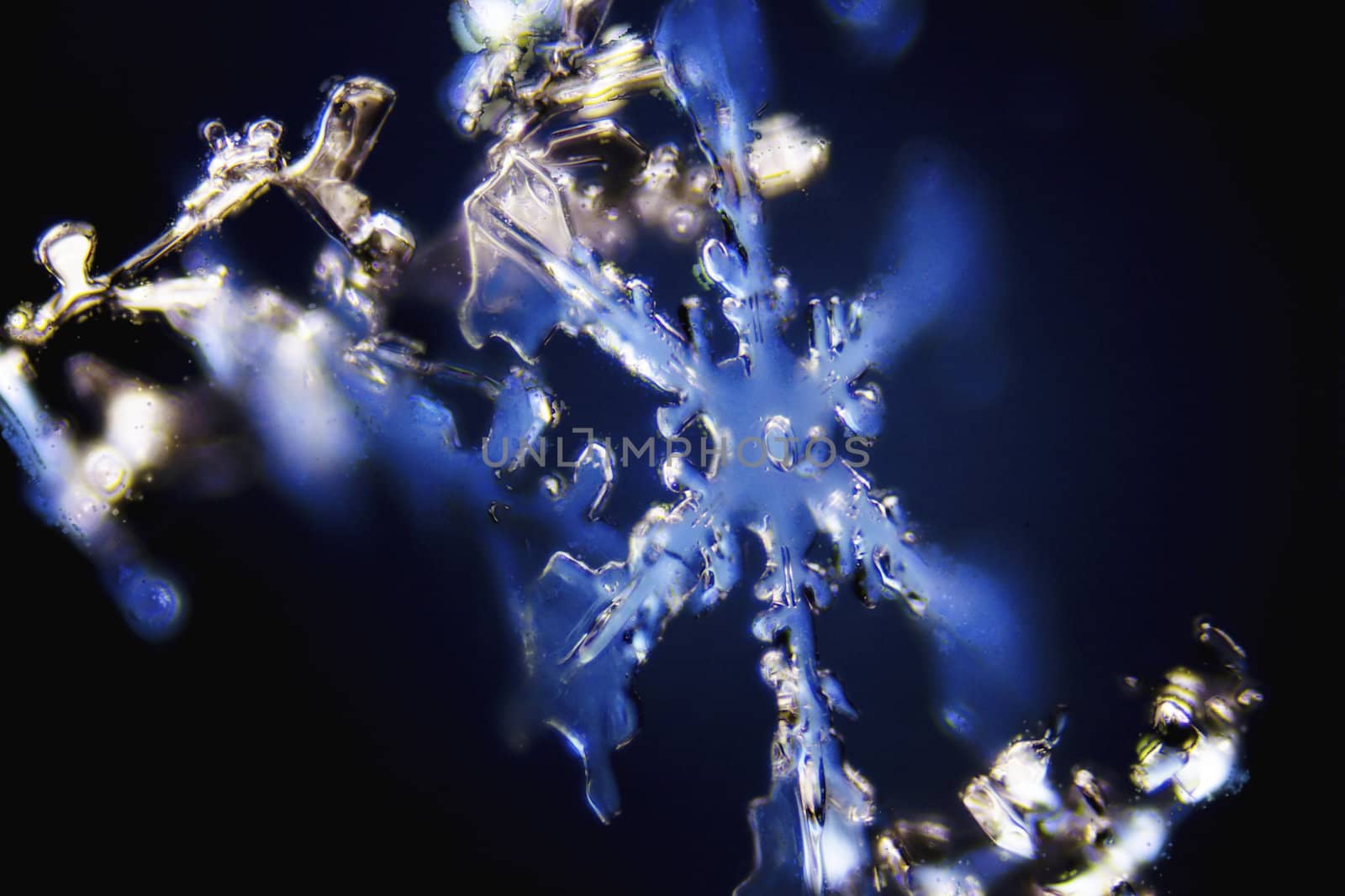 Micro Photo of Snow Crystals