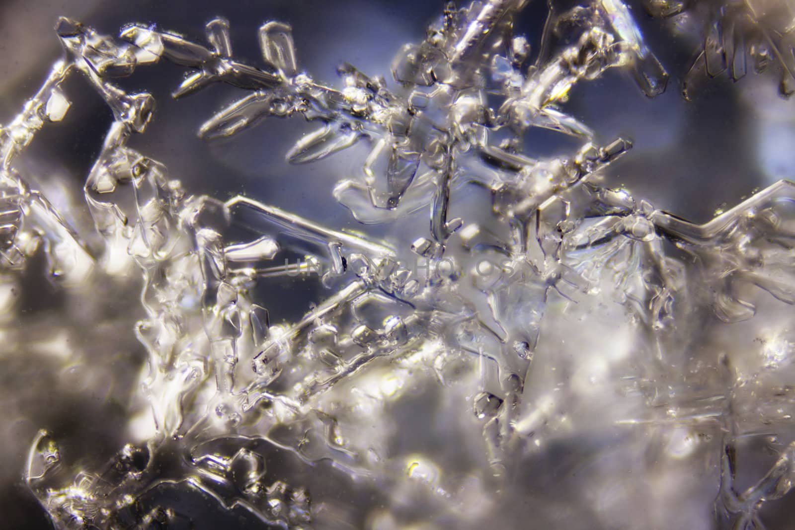 Micro Photo of Snow Crystals