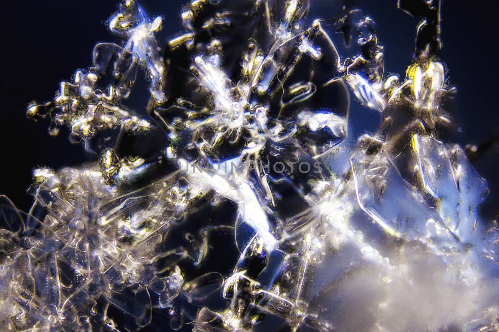 Micro Photo of Snow Crystals