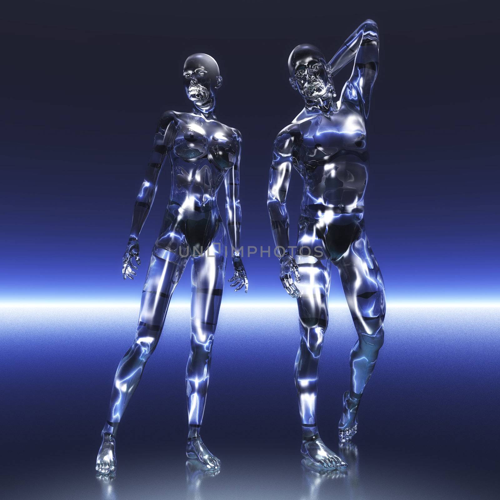 Digital visualization of human anatomy