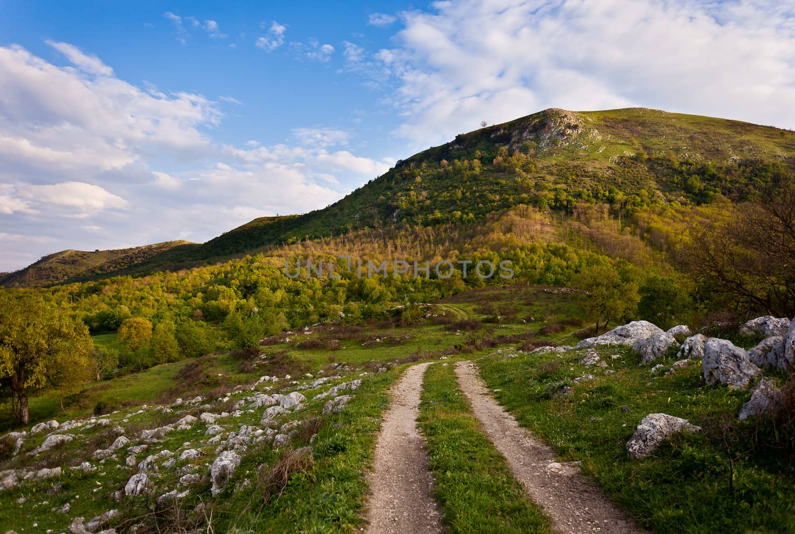 Mountain path by dario_lo_presti