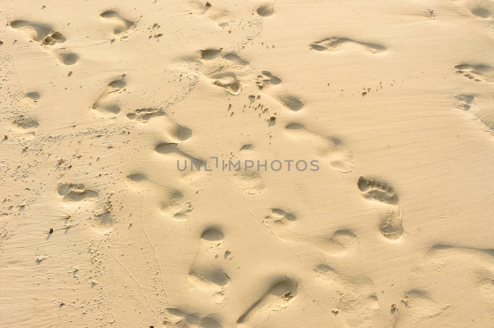 Footprints on the sand on a tropical beach