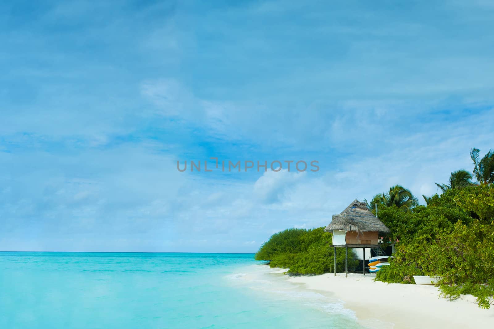 A hut in a tropical island