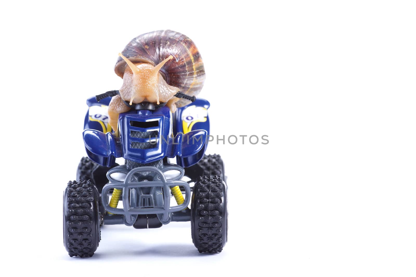 A snail looking at the camera riding a toy quad model