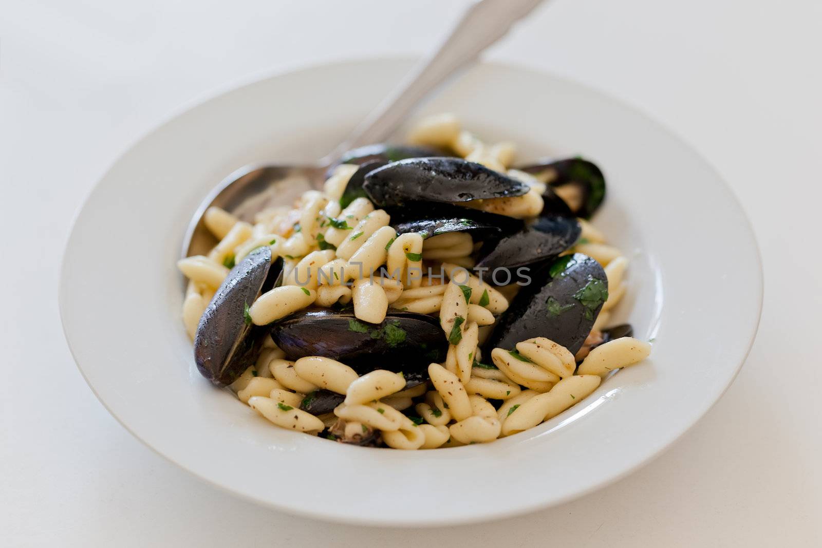 an italian dish with pasta (cavatelli) and mussels