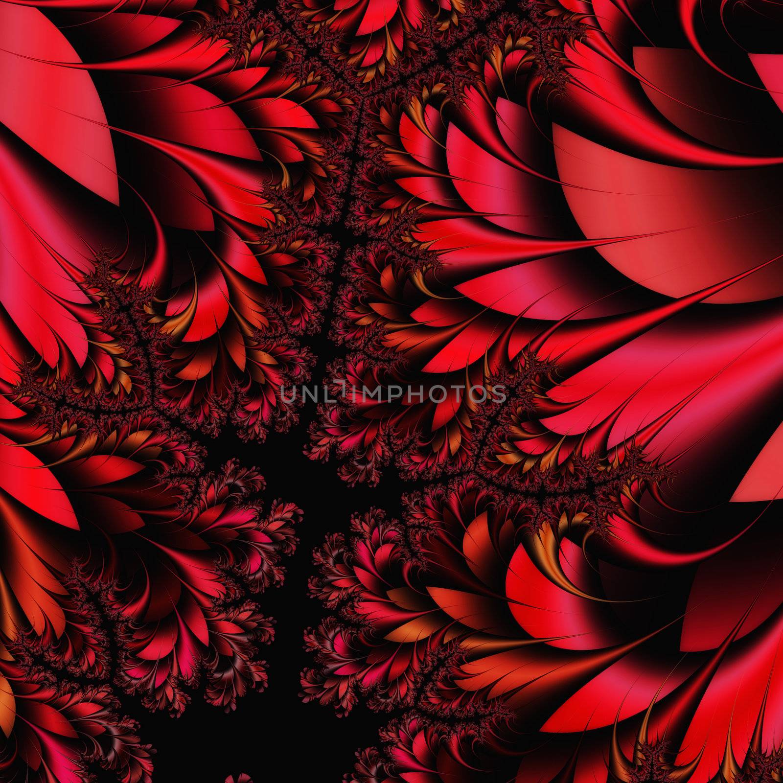 Digital Visualization of a fractal Structure