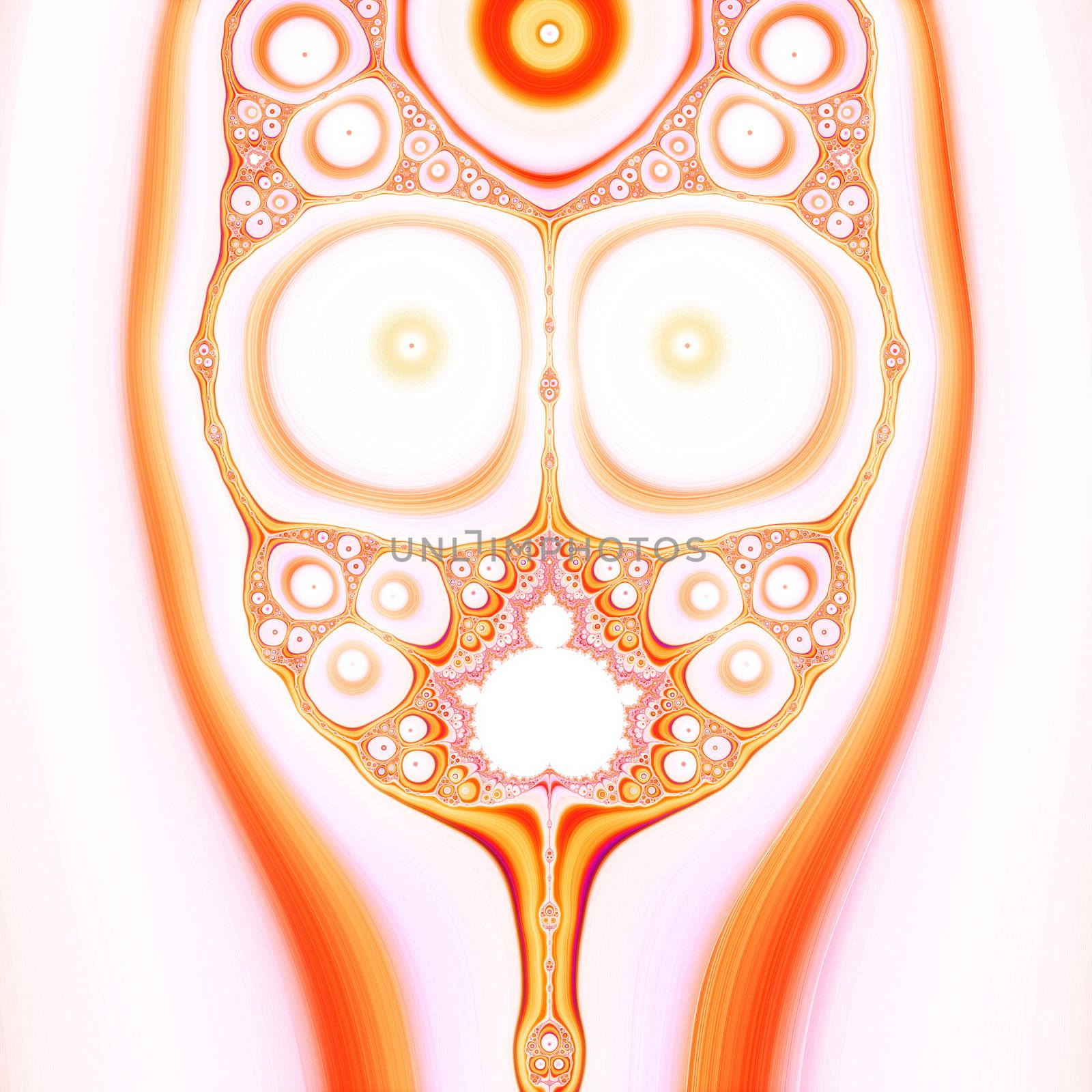 Digital Visualization of a fractal Structure