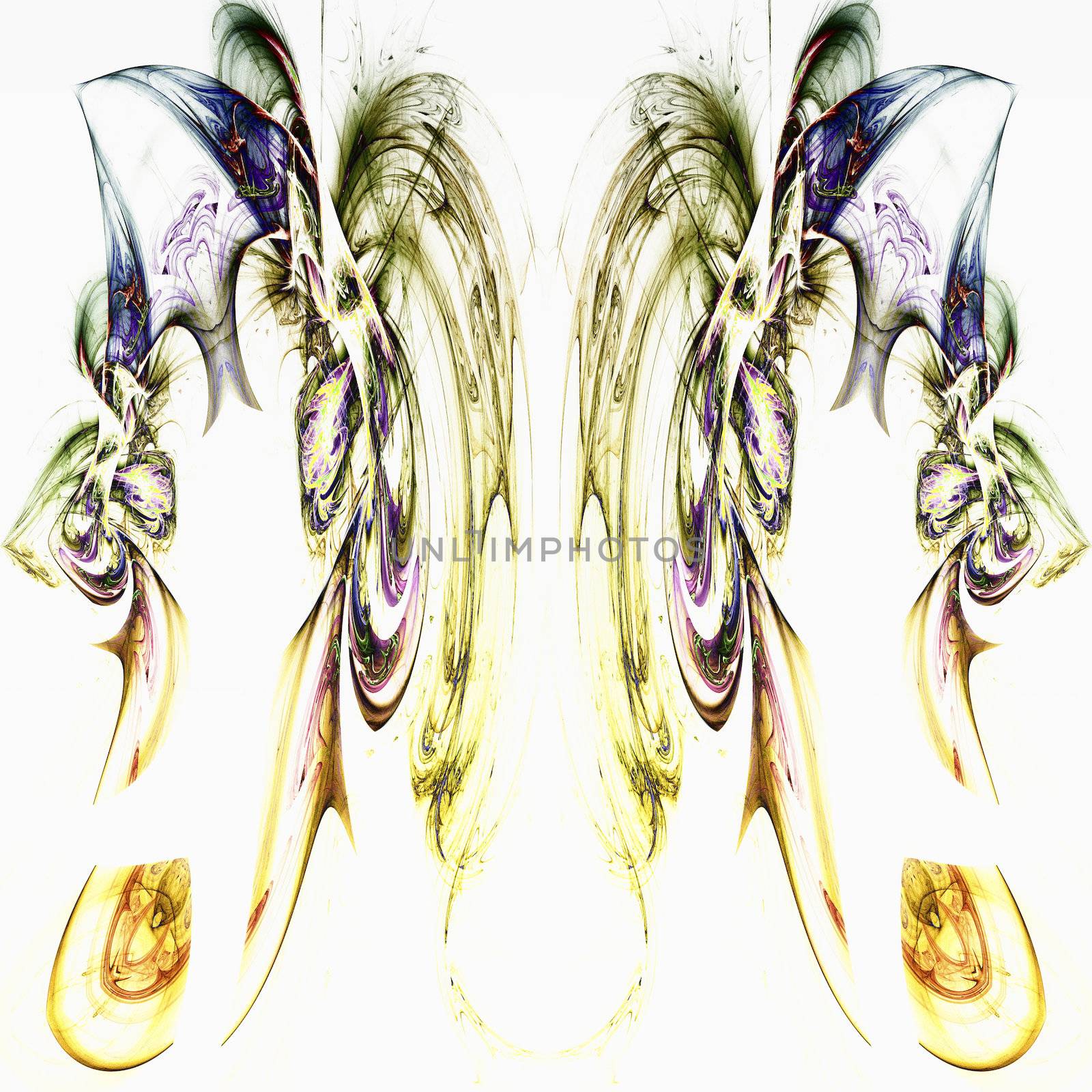 Digital Visualization of a fractal Structure
