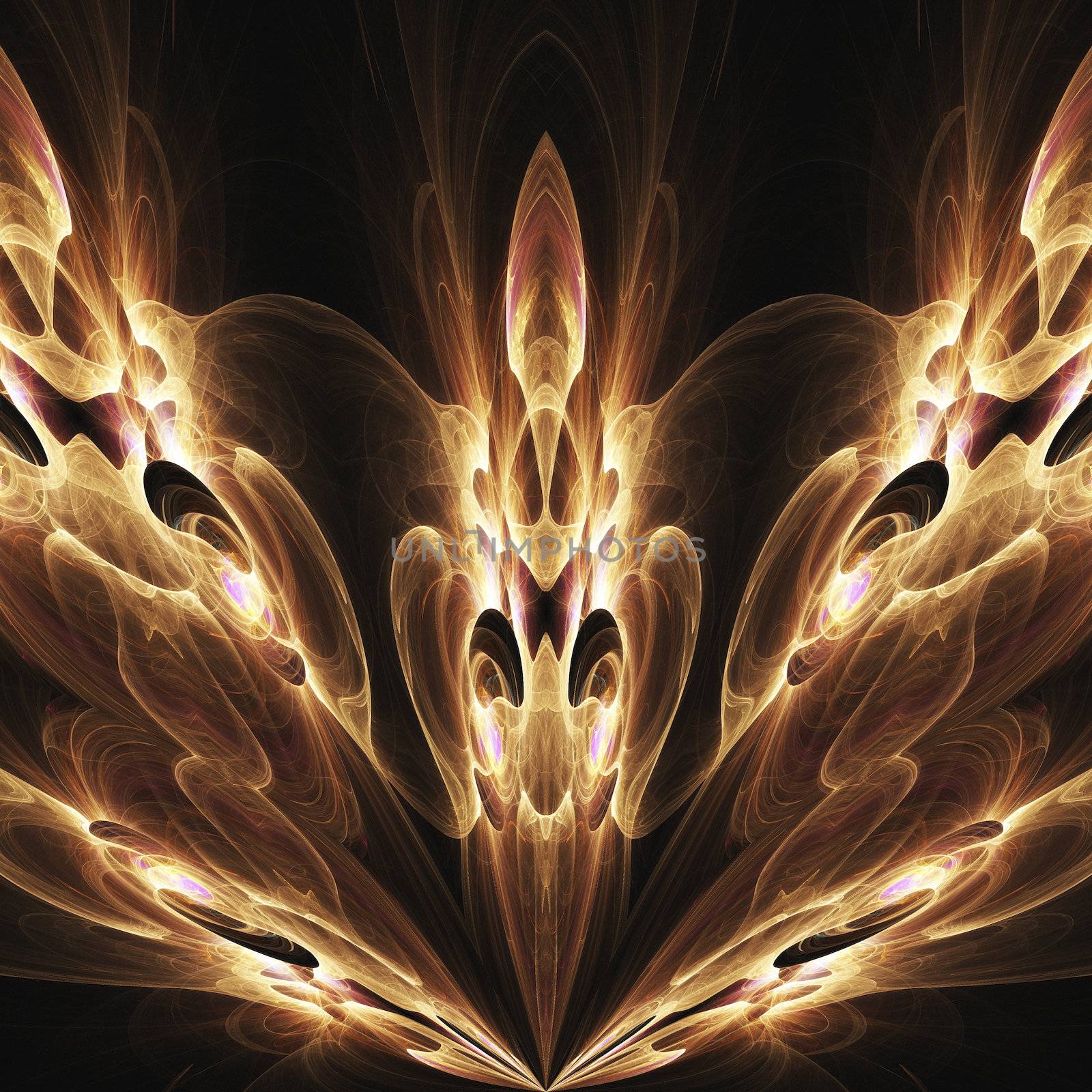 Digital Visualization of a fractal Structure
