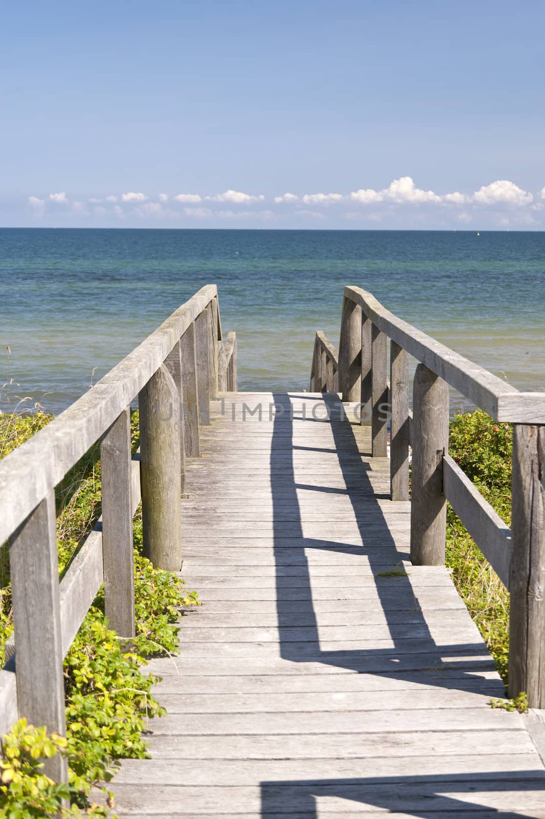 At the Baltic Sea of Howacht in Germany