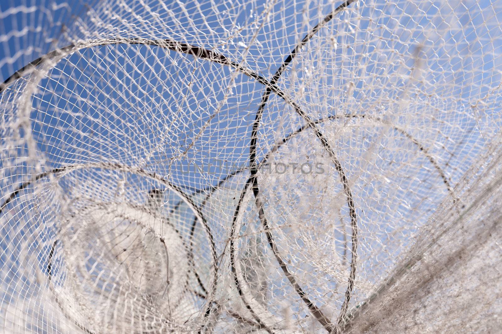 Fishing Nets at the Baltic Sea