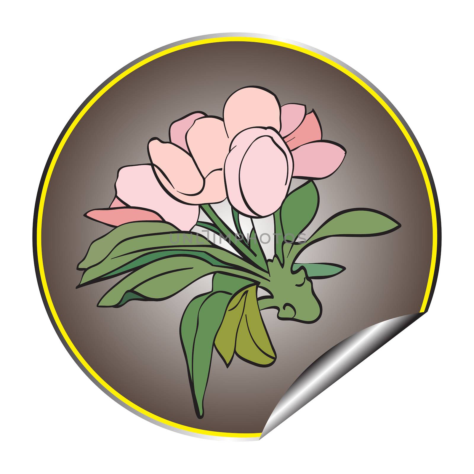 Apple tree flower grey sticker isolated on white