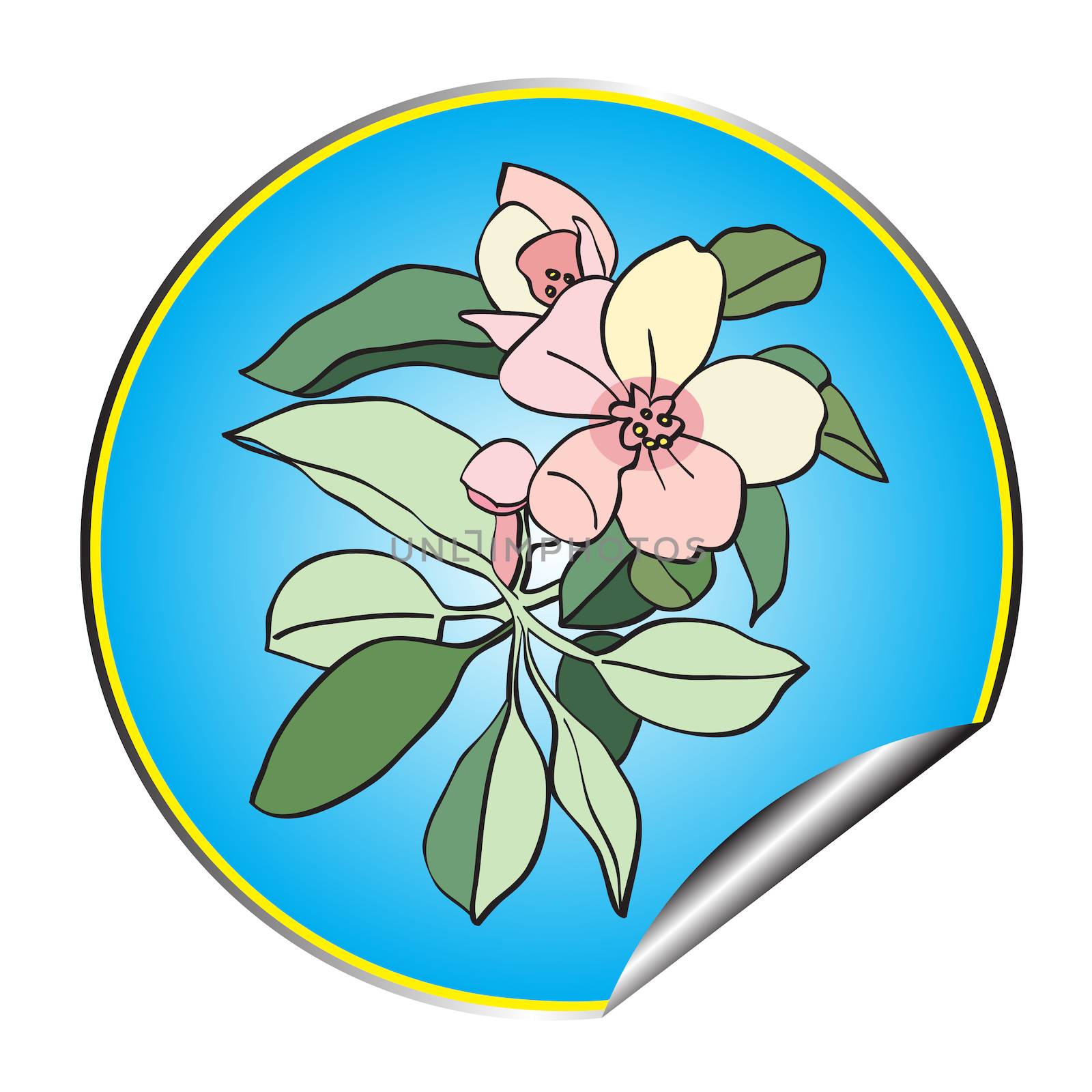 Apple tree flower blue sticker isolated on white