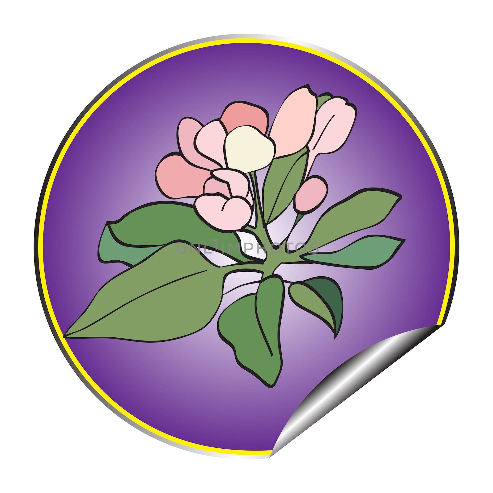 apple flower sticker violet by catacos