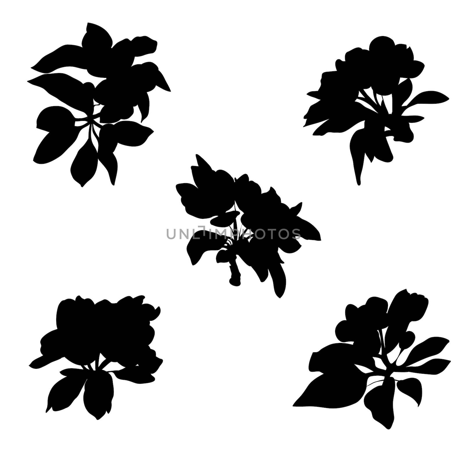 Apple tree flower silhouettes isolated on white