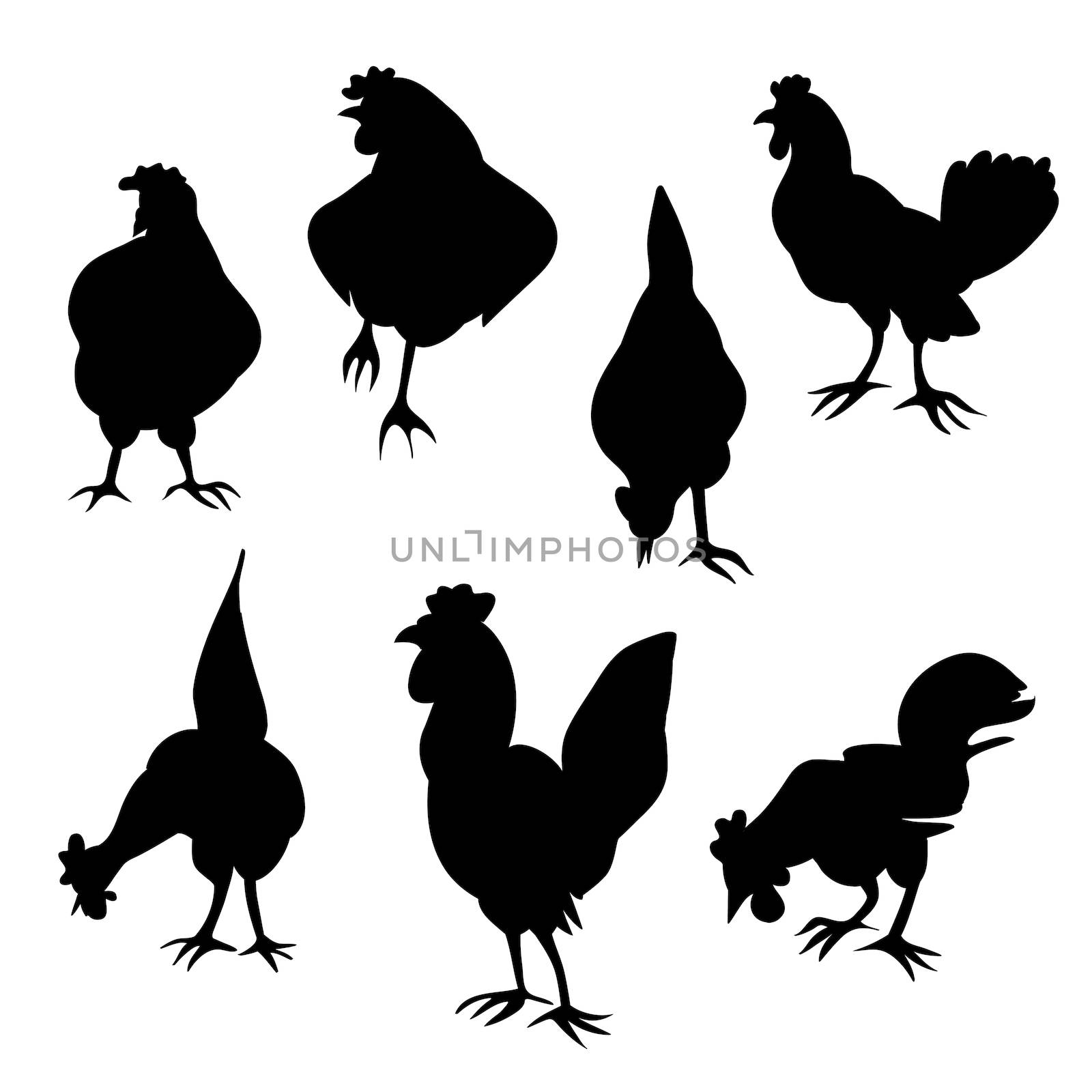 Hens and roosters silhouettes series isolated on white