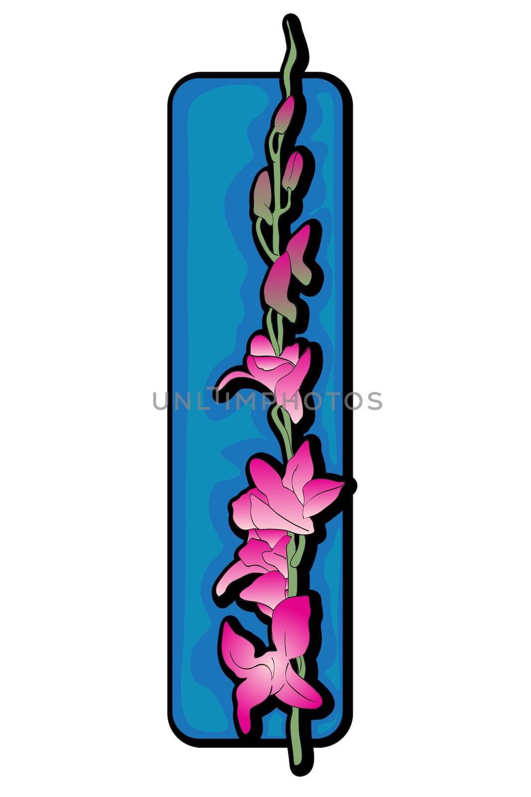 Long orchid clip art over blue label isolated on white