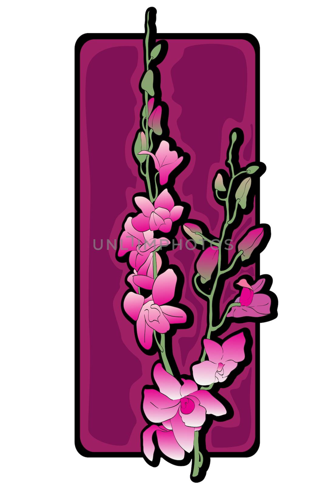Long orchids clip art over purple label isolated on white