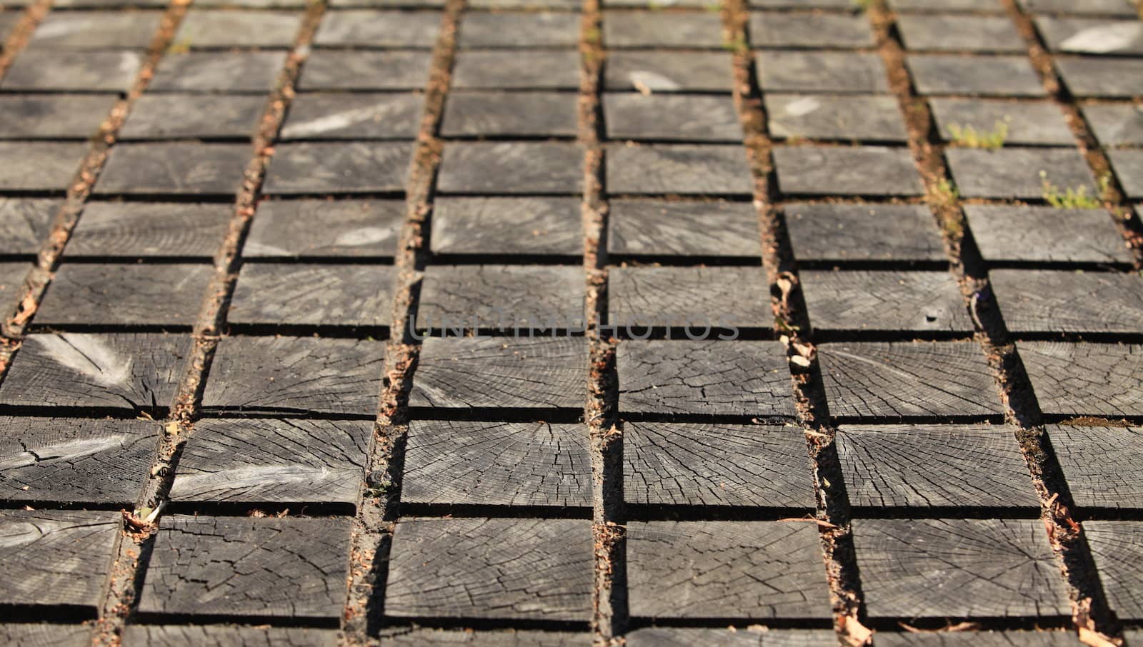 wooden paving abstract background close to 