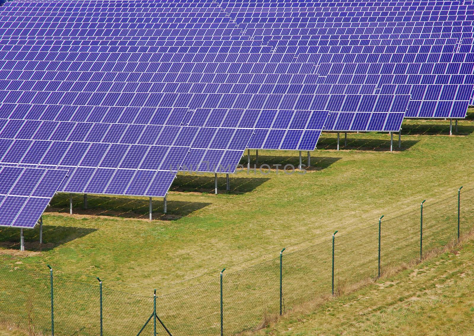 detail of blue solar panel plant, top view