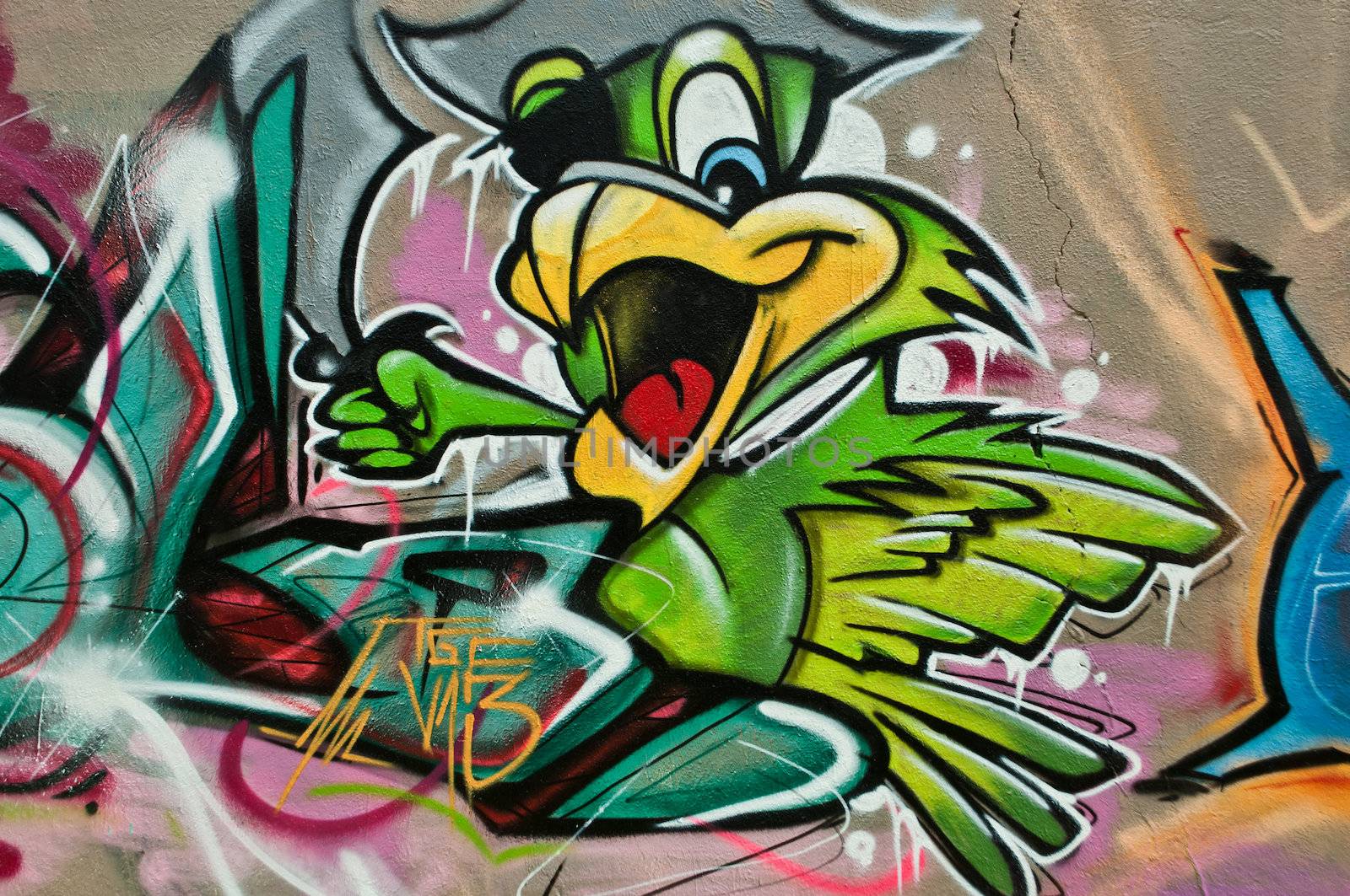 Mulhouse - France - 7 th May 2014 - Urban Art - bird by NeydtStock