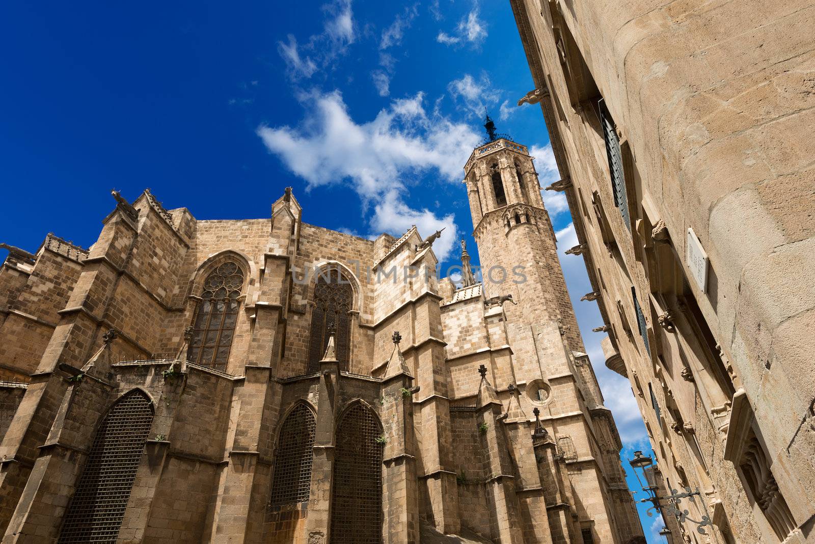 Cathedral of the Holy Cross and Saint Eulalia (Catedral de la Santa Cruz y Santa Eulalia) in Barcelona, Catalonia, Spain - 13th, 15th centuries