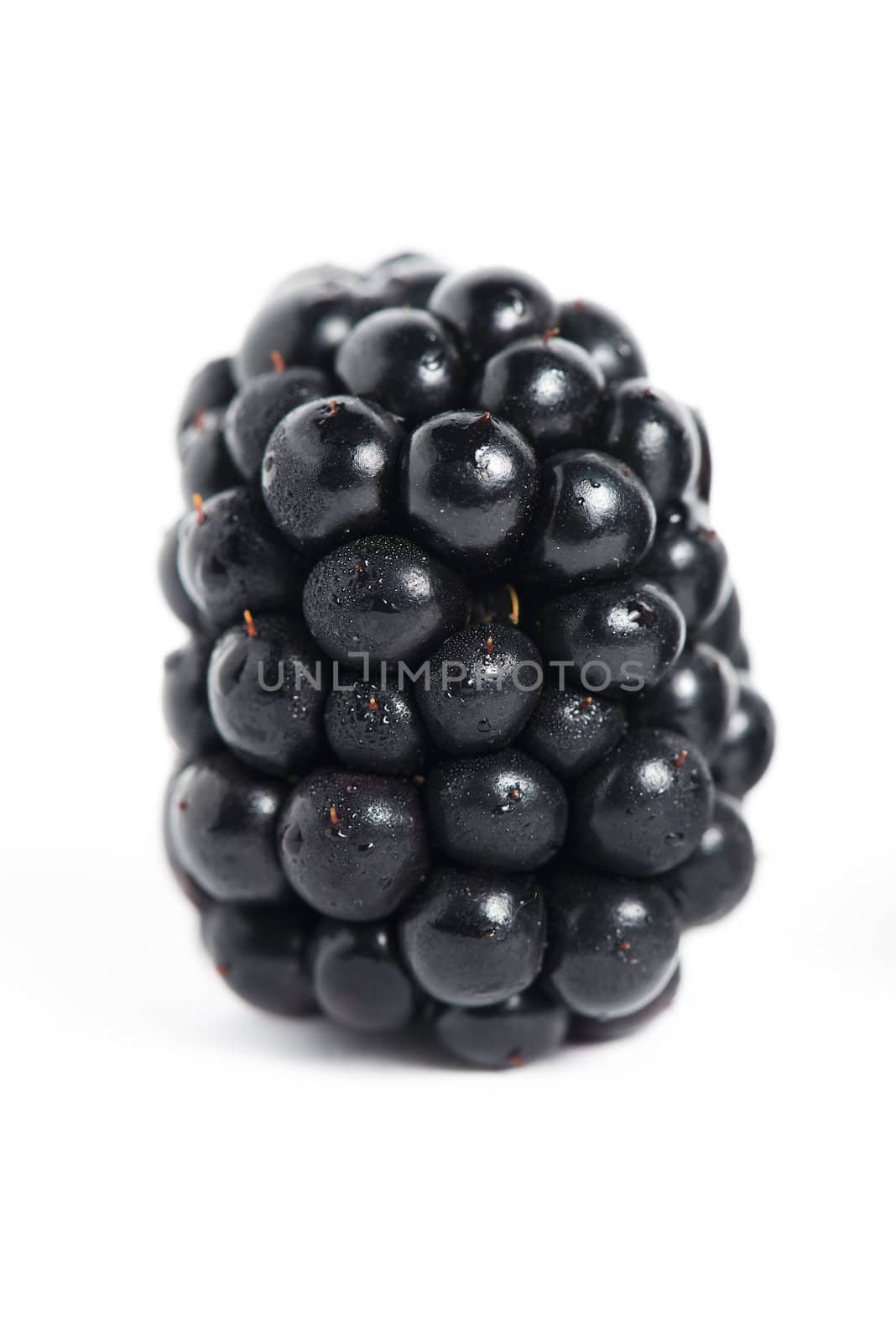 Picture with sweet blackberry isolated on white background
