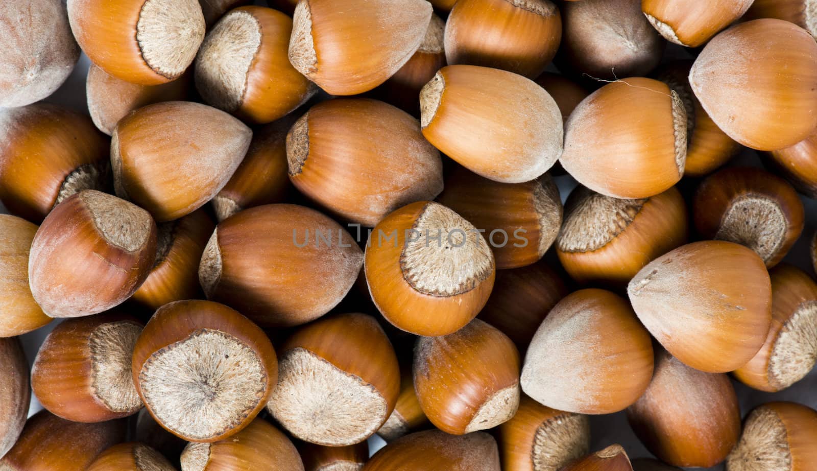 Fresh cropped hazelnuts as food background, macro image