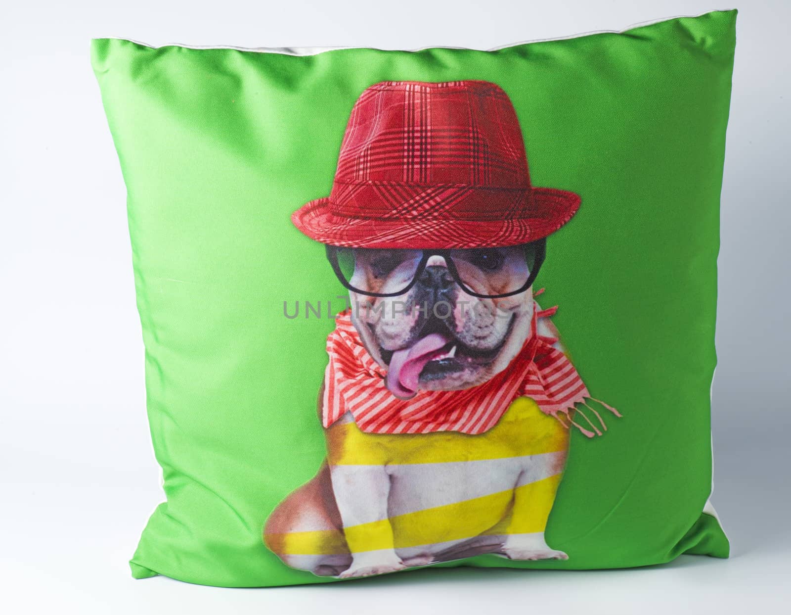 Green decorative pillow with dog drawing on it