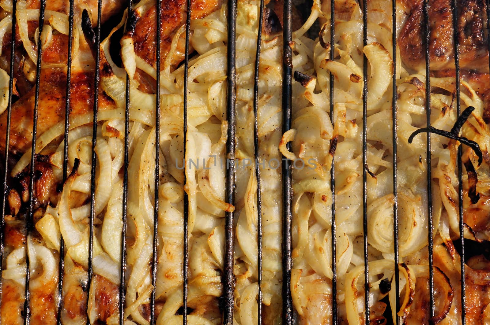 Smoked onion rings on the grill                           
