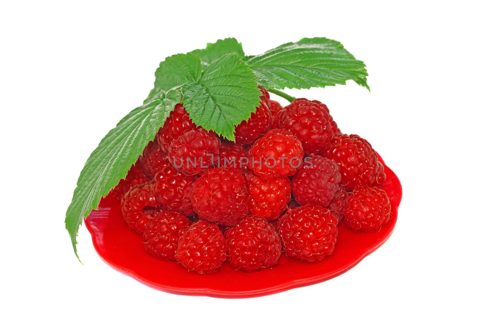 Ripe raspberries decorated with green leaf in a small platter                                   
