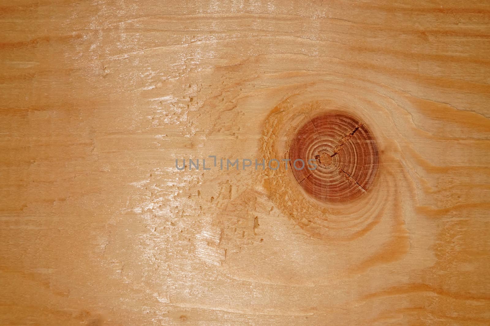 New boards with knots close up as background                               