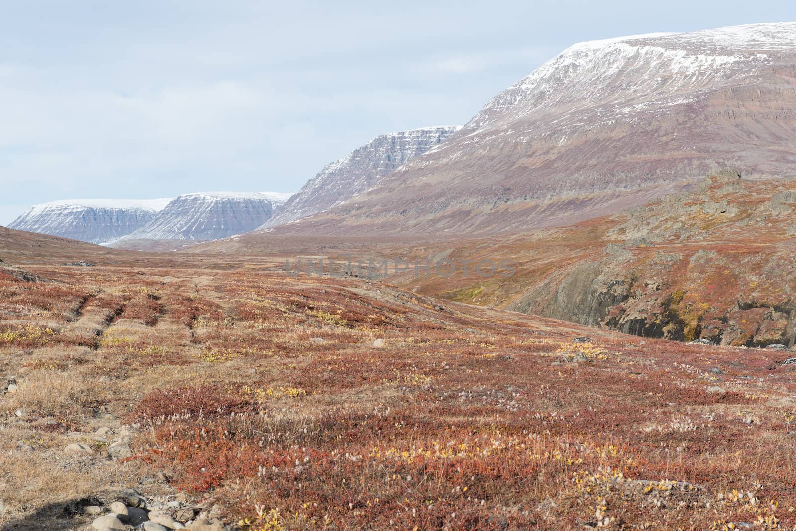 Arctic landscape in Greenland by Arrxxx