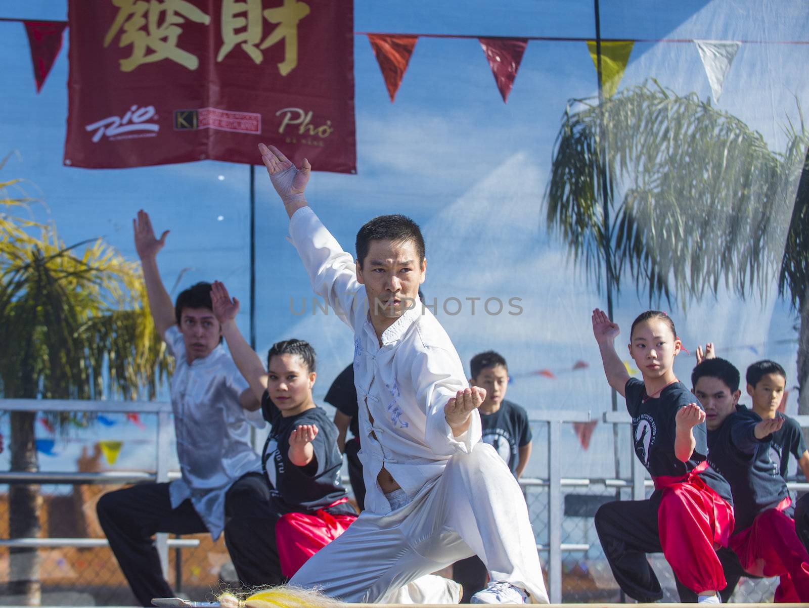 LAS VEGAS - FEB 09 : Chinese martial art performers at the Chinese New Year celebrations held in Las Vegas , Nevada on February 09 2014