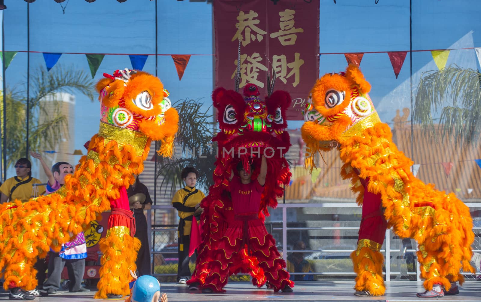 LAS VEGAS - FEB 09 : Lion dance performance during the Chinese New Year celebrations held in Las Vegas , Nevada on February 09 2014