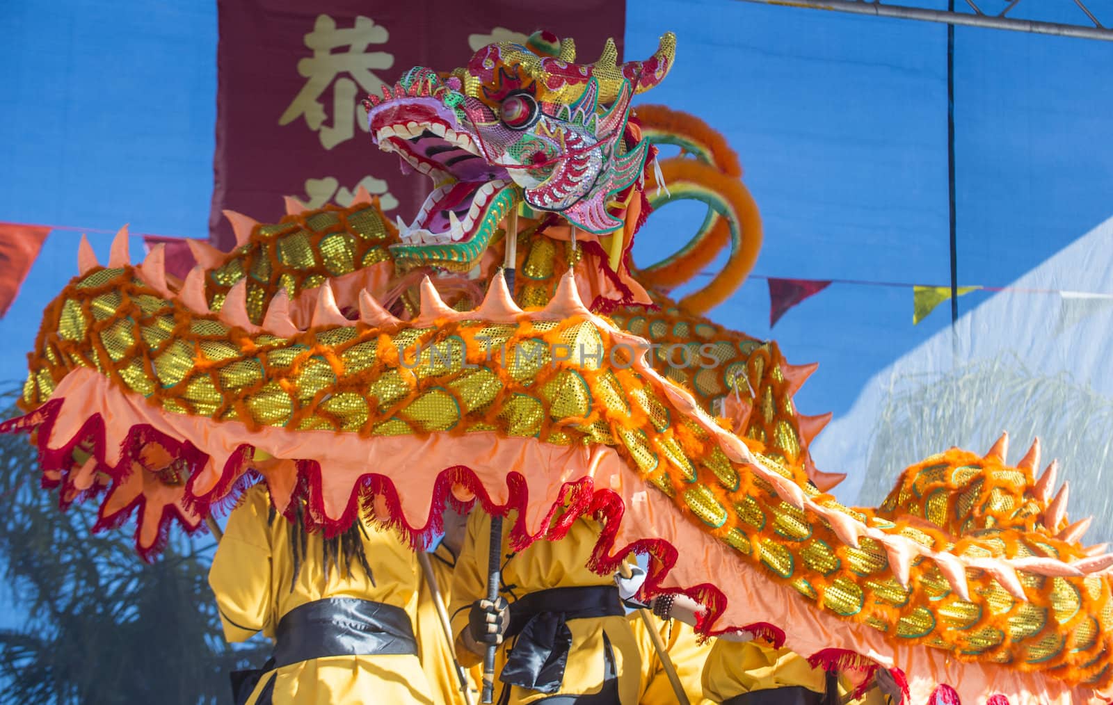 LAS VEGAS - FEB 09 : Dragon dance performers during the Chinese New Year celebrations held in Las Vegas , Nevada on February 09 2014