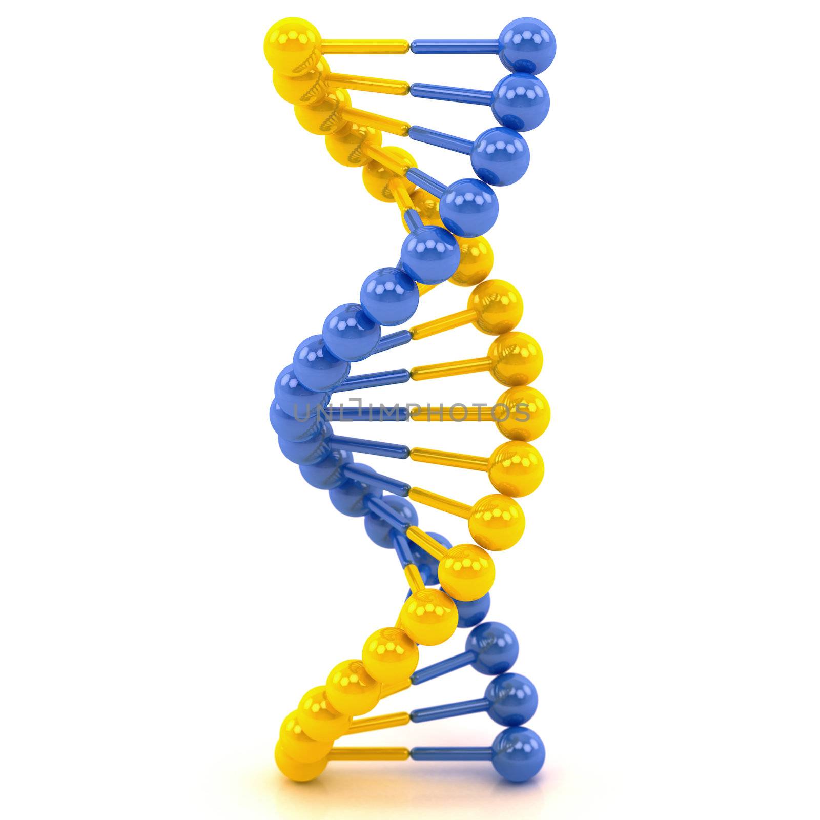 yellow blue DNA molecule on a white background