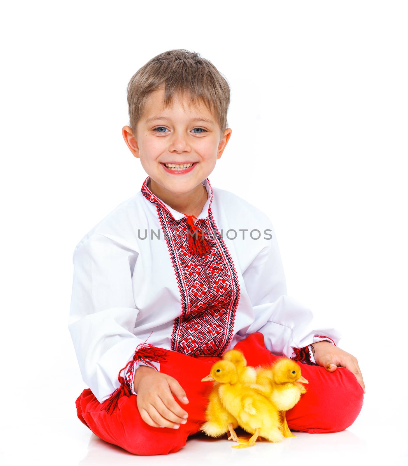 Happy little boy with cute ducklings isolated on white background