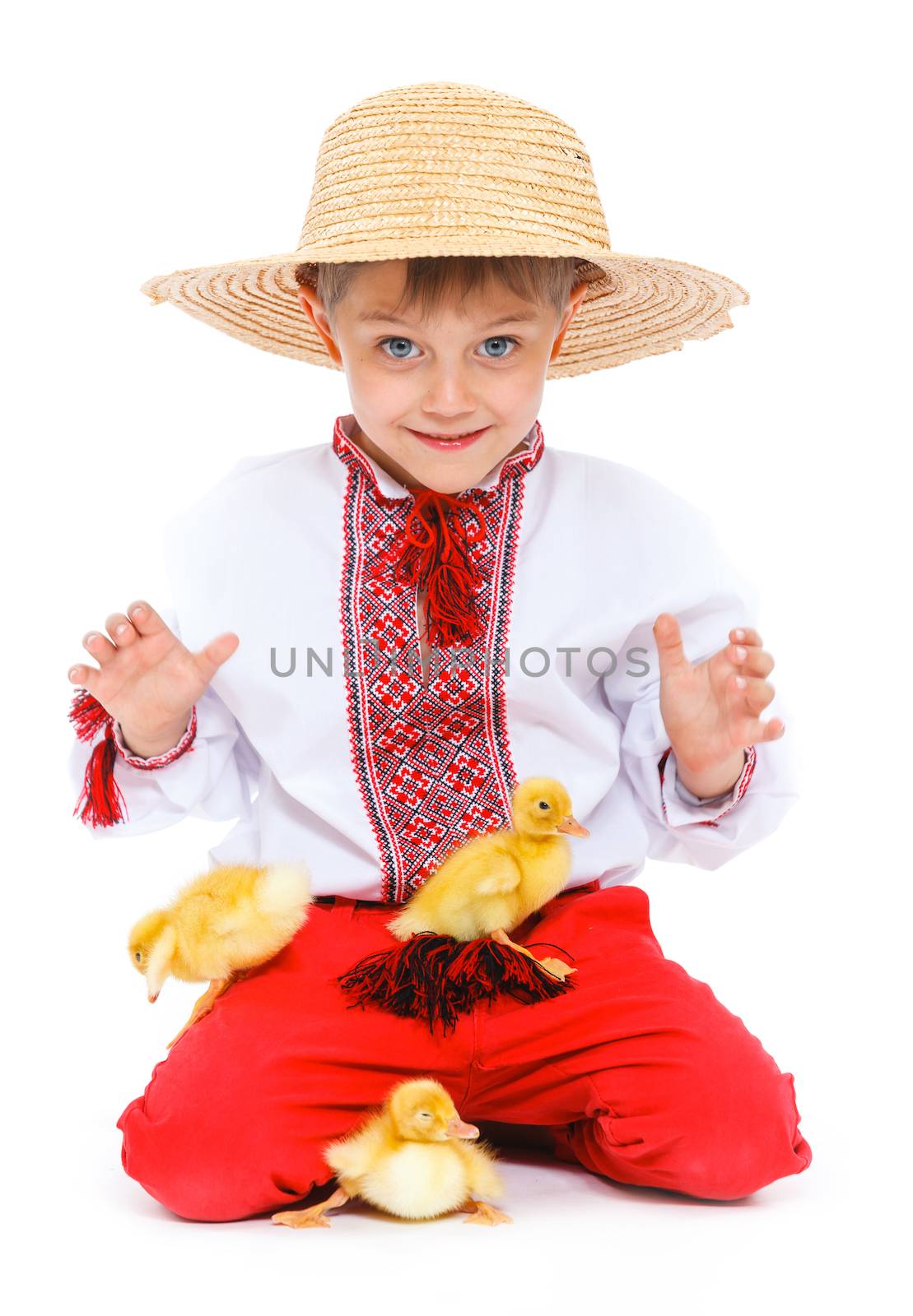 Happy little boy with cute ducklings isolated on white background