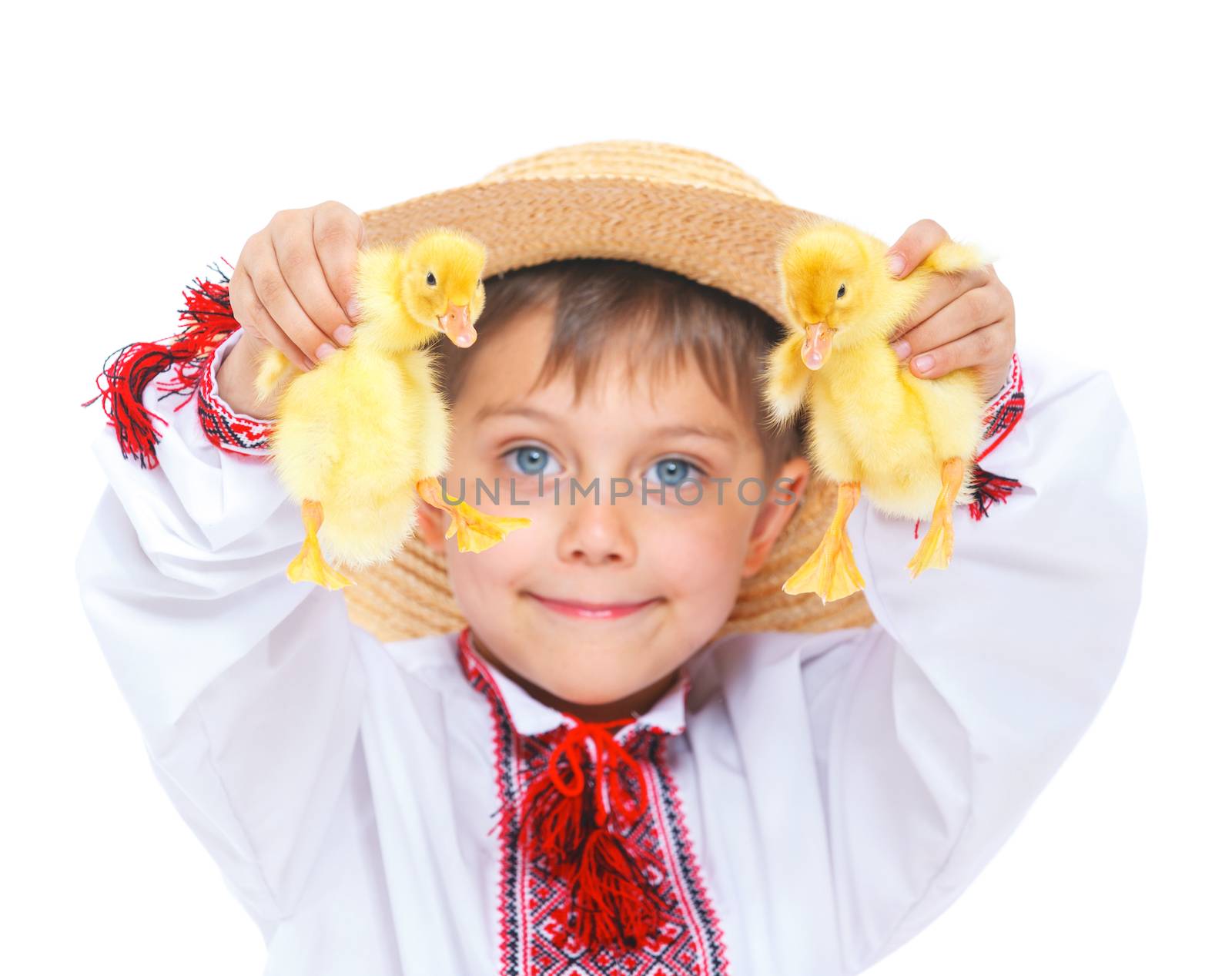 Happy little boy with cute ducklings isolated on white background