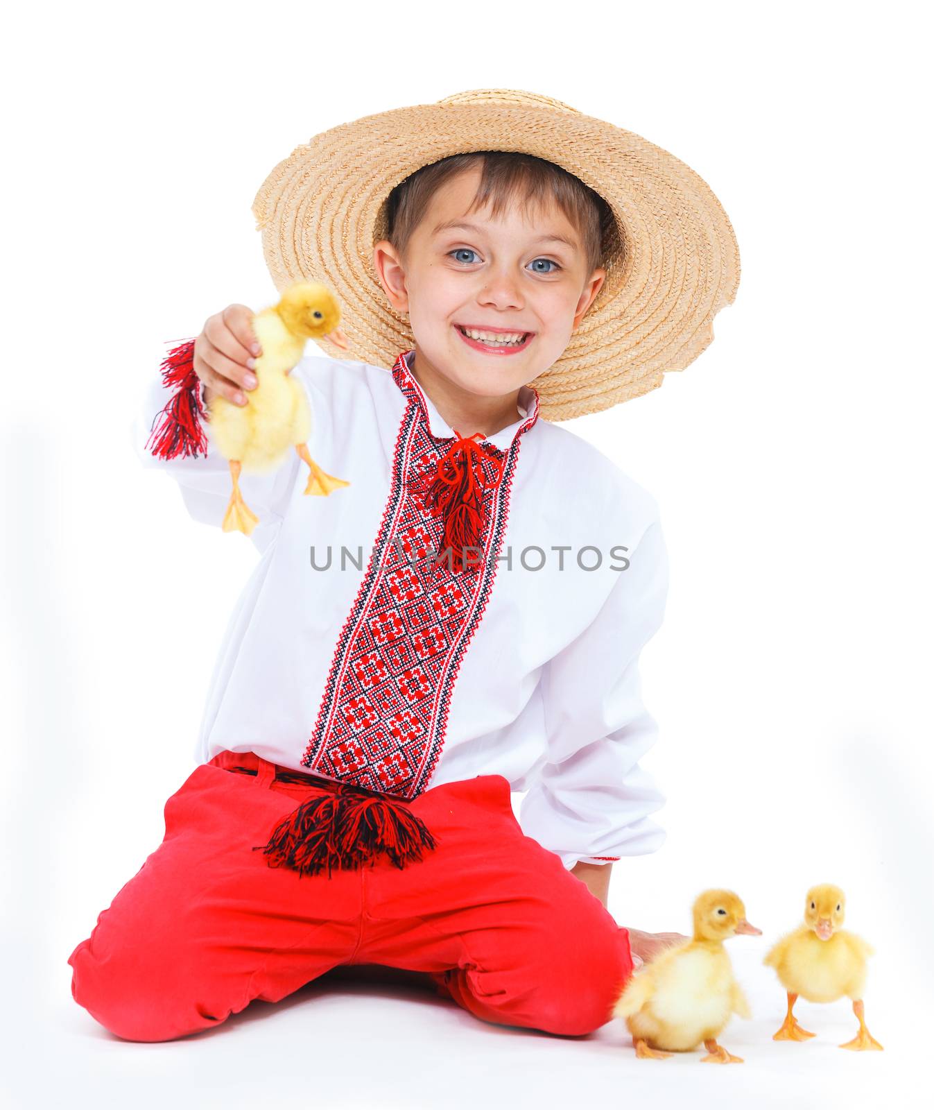 Happy little boy with cute ducklings isolated on white background