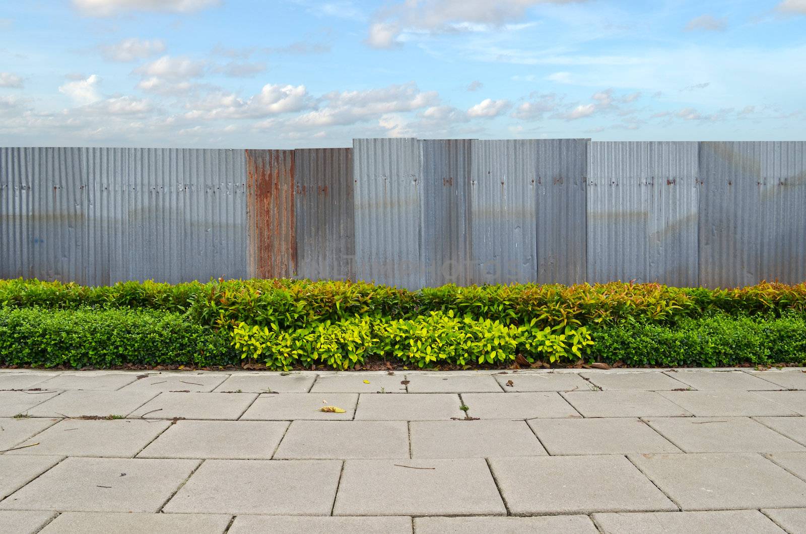 shrubs with zinc fence on blue sky background