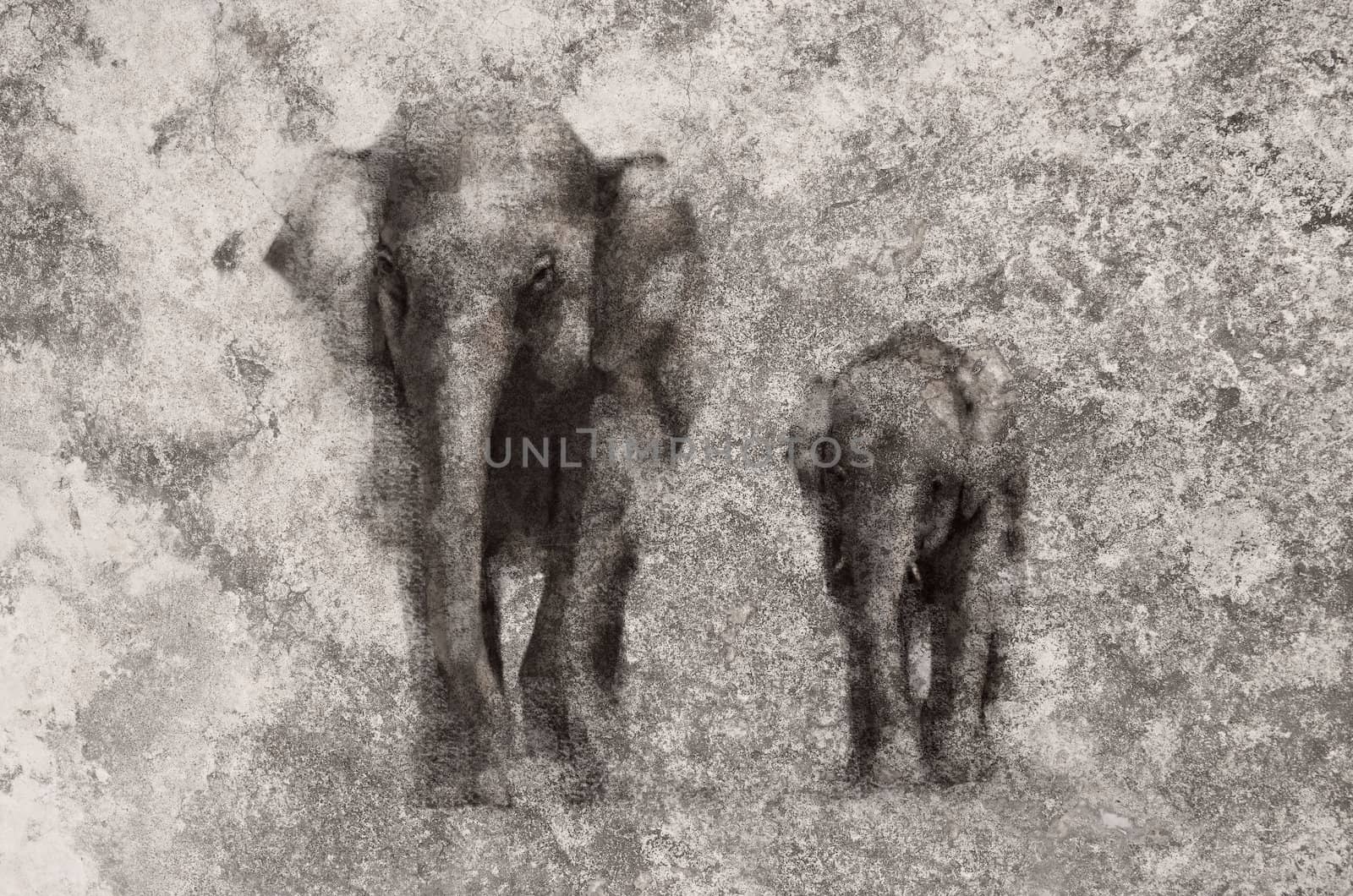 elephant painting on dirty old grunge cement wall