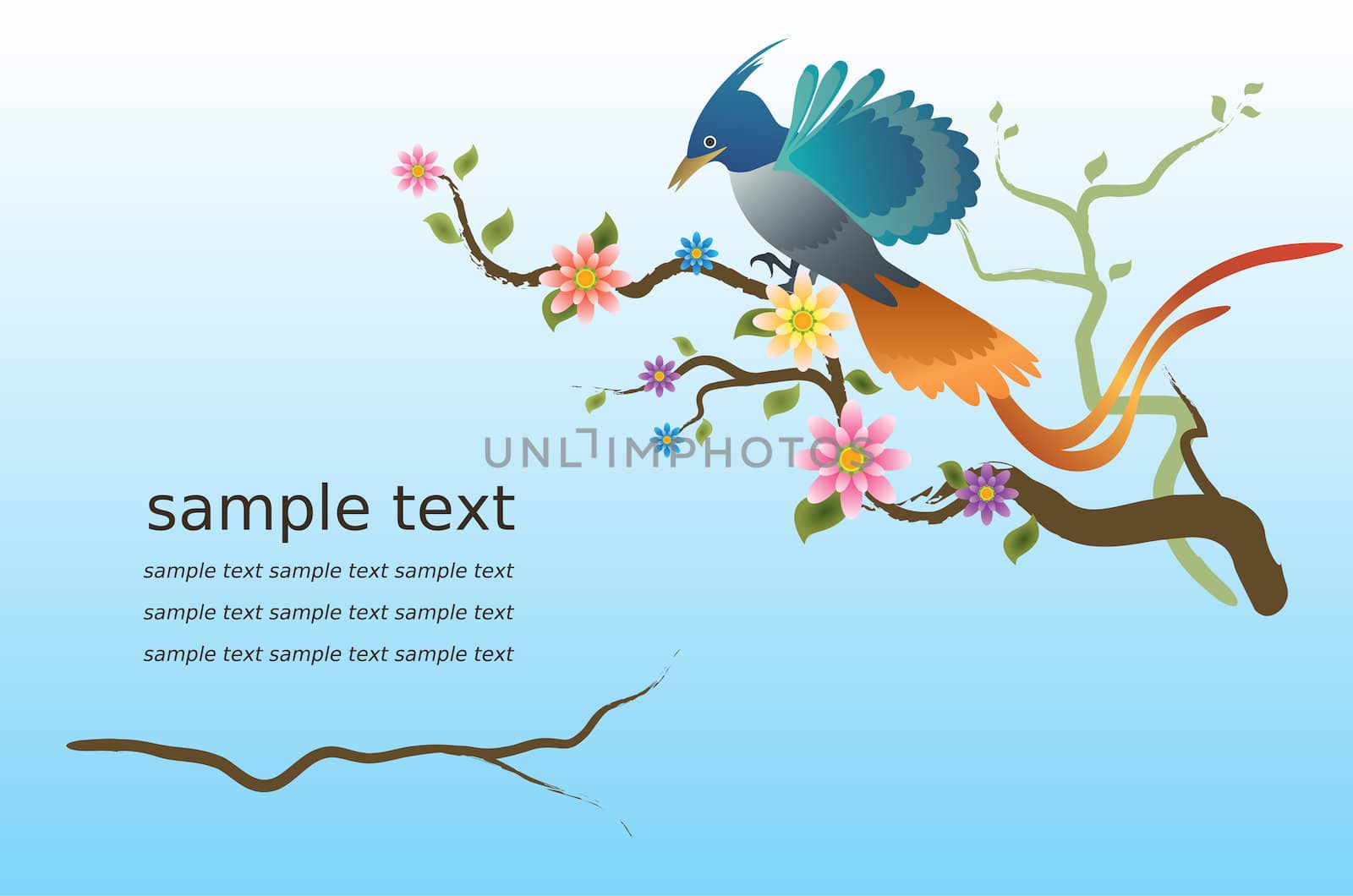 vector bird of paradise and colorful flowers by furuoda