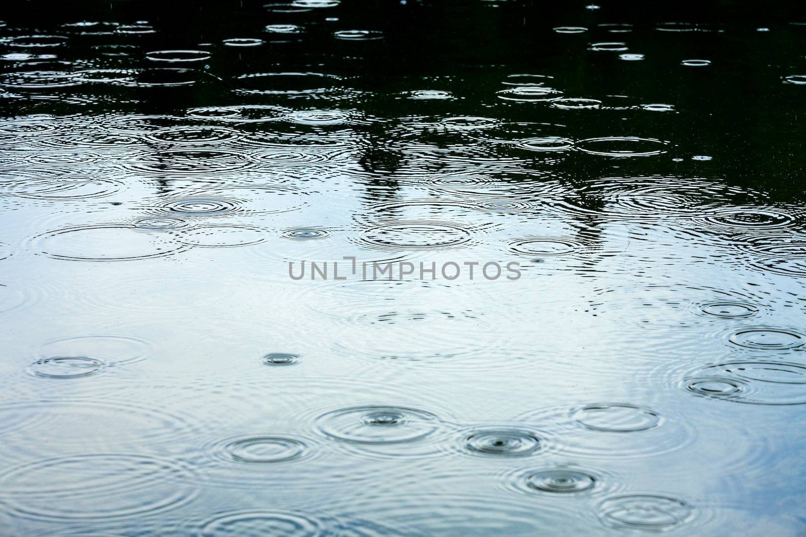 Raindrops at a water surface