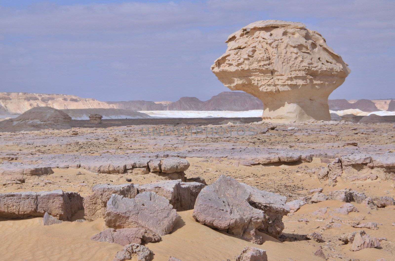 The limestone formation rocks in the White Desert, Egypt 