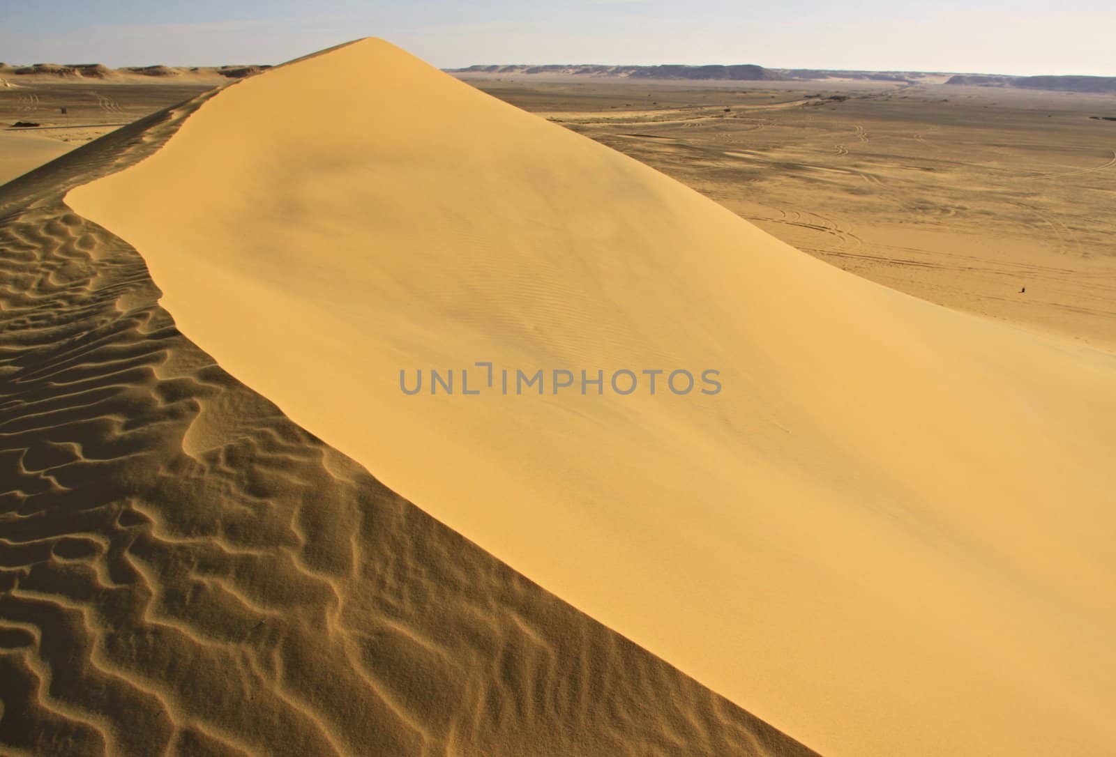 Sand dunes in Lybian desert,Egypt by jnerad